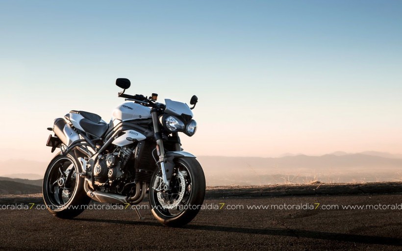 Las mejores Speed Triple jamás fabricadas