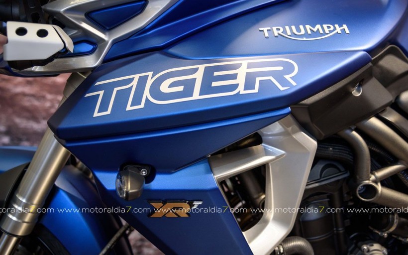 Nuevas TIGER 800 XC y XR, ya en GUBRA