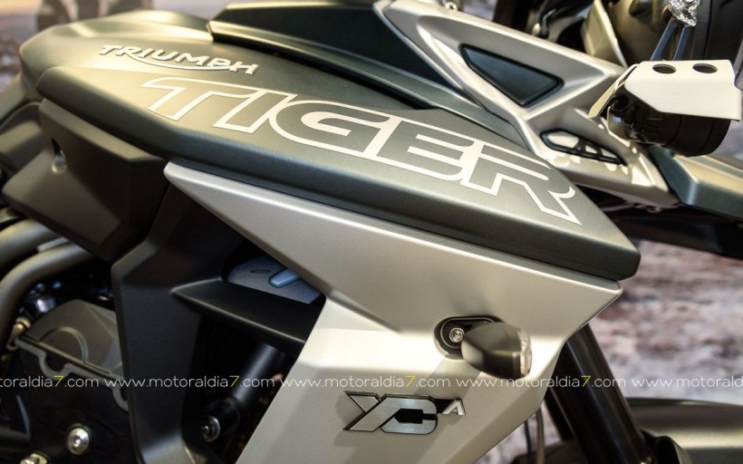 Nuevas TIGER 800 XC y XR, ya en GUBRA
