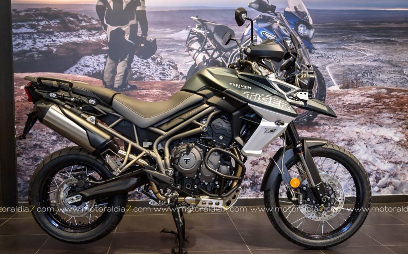 Nuevas TIGER 800 XC y XR, ya en GUBRA