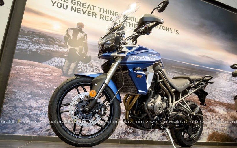 Nuevas TIGER 800 XC y XR, ya en GUBRA