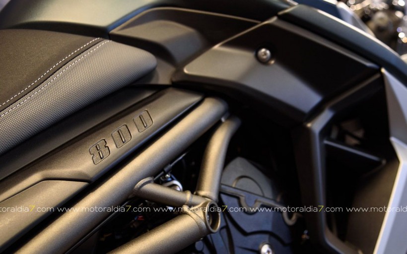 Nuevas TIGER 800 XC y XR, ya en GUBRA