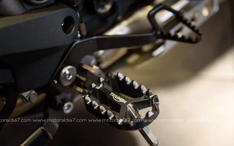 Nuevas TIGER 800 XC y XR, ya en GUBRA