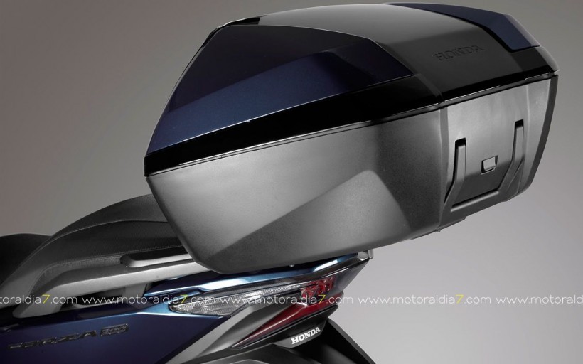 Nueva Forza 300, ahora más fuerte