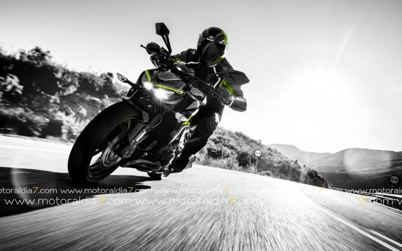 Nueva Kawasaki Z1000 R Edition