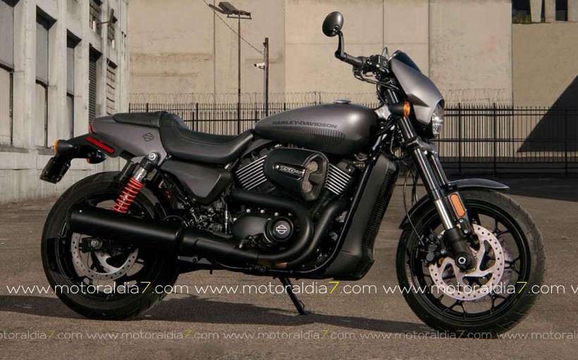 Nueva Harley-Davidson Street Rod