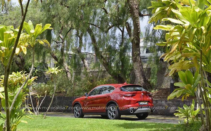 Alfa Romeo Stelvio, bella macchina