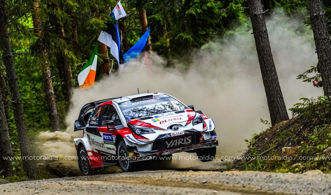 Japón, Kenia y Nueva Zelanda vuelven al calendario