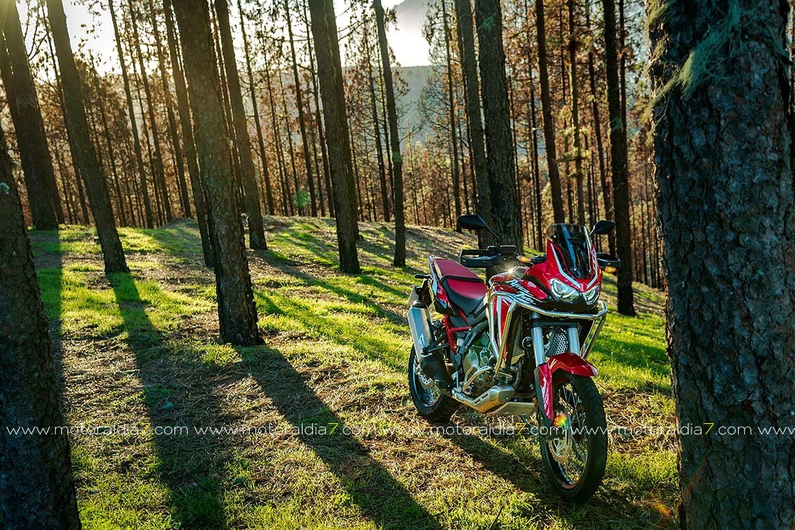 Africa Twin 2020 ¡Ahora si!