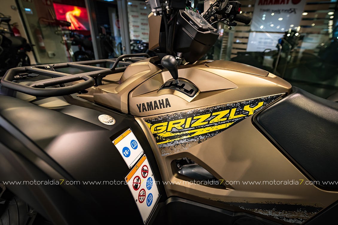 La Gama ATV en Yamaha Flick Moto