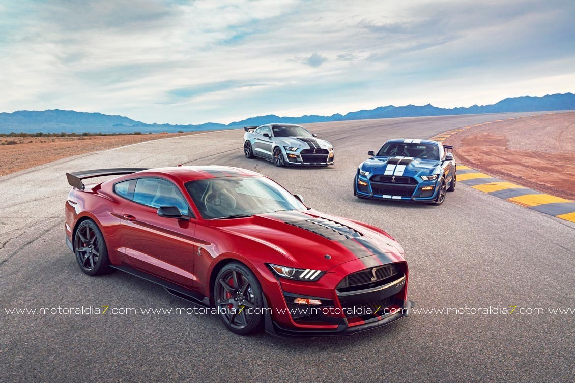 Archiauto, a por todas con Ford en Gran Canaria