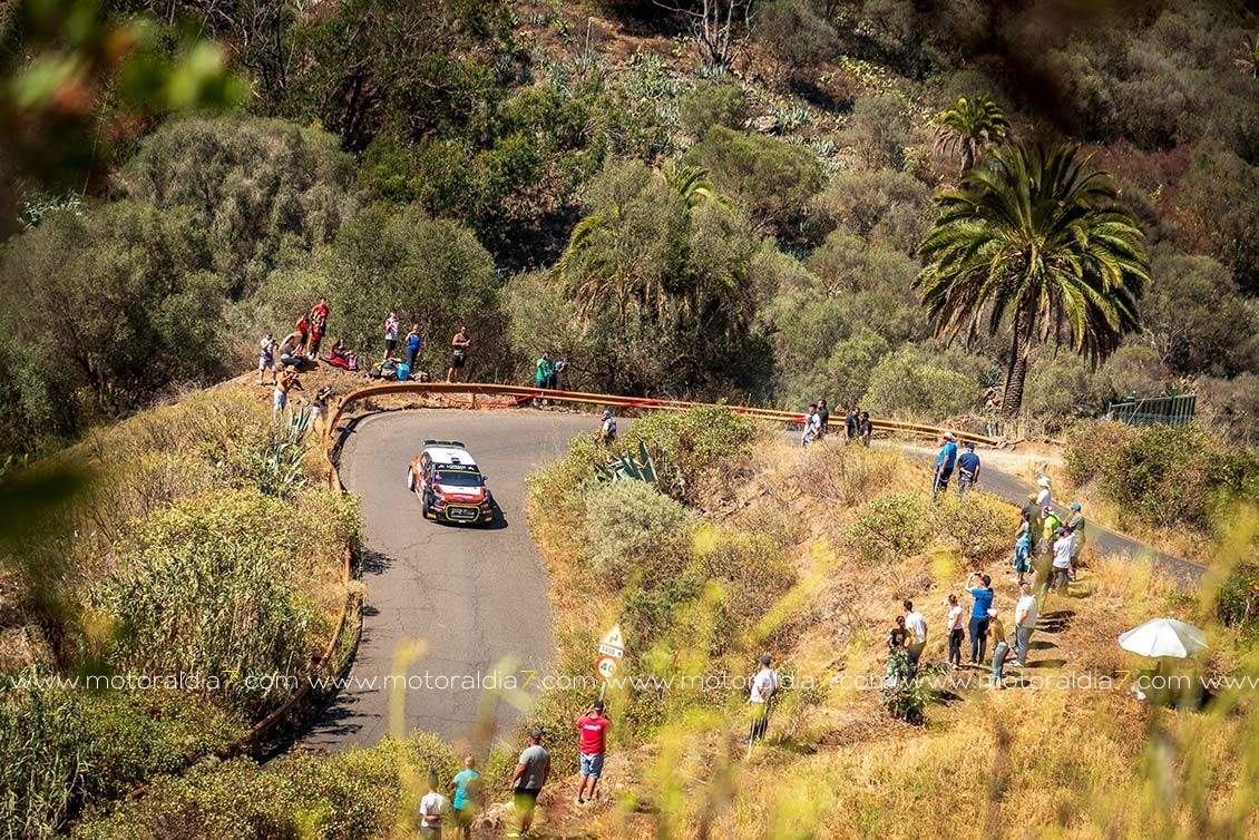 Acción solidaria de la FALP para contribuir a la reforestación de Gran Canaria