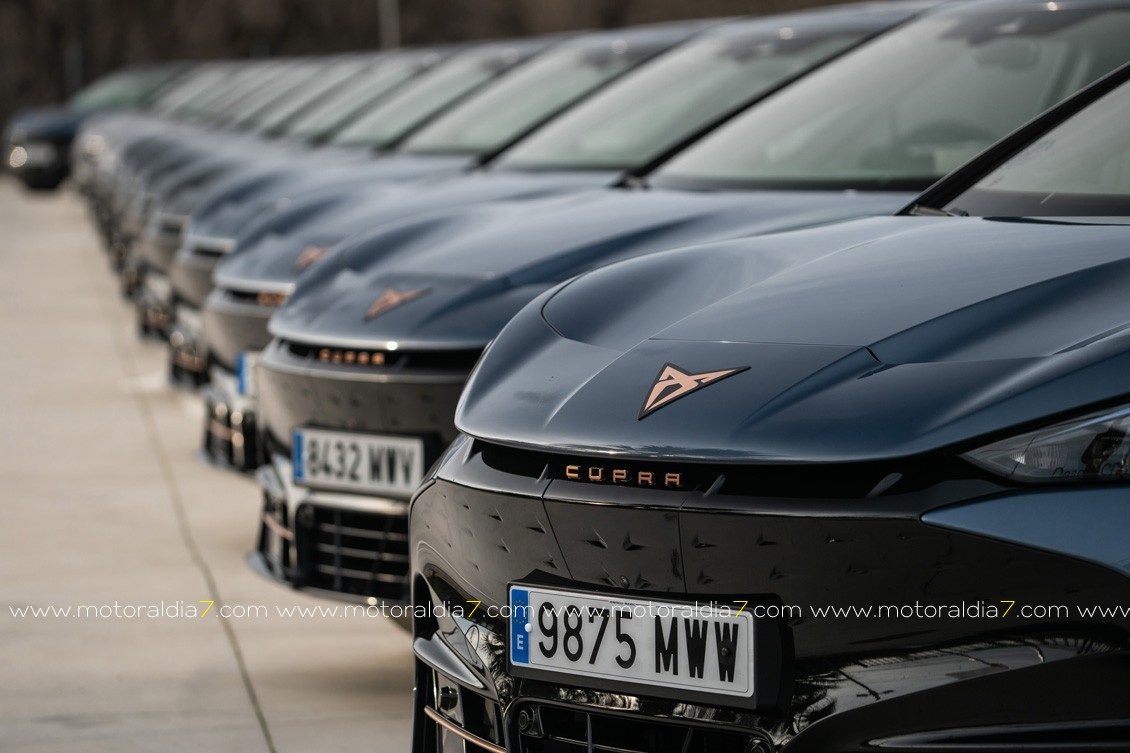 El CUPRA Tavascan supera las expectativas de eficiencia