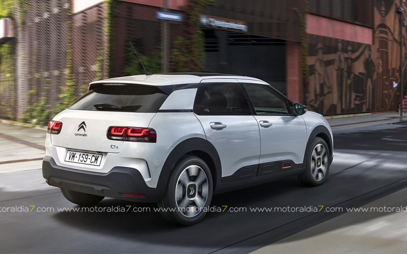 C4 Cactus, adopta los códigos del segmento