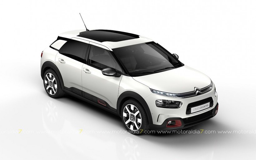 C4 Cactus, adopta los códigos del segmento