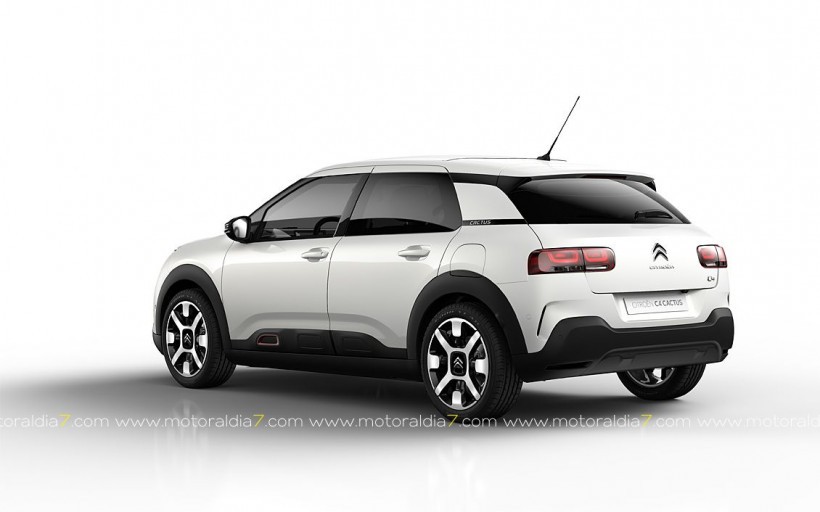 C4 Cactus, adopta los códigos del segmento