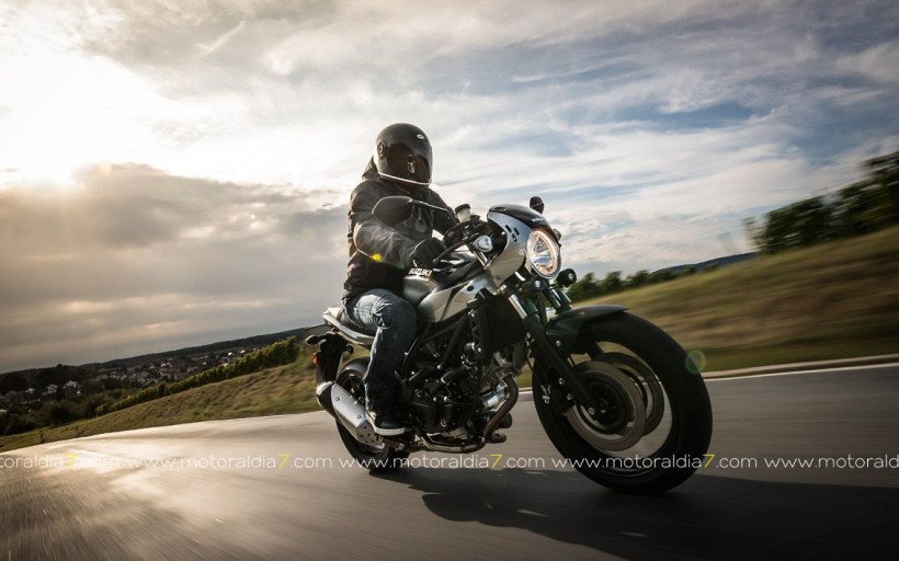 Suzuki SV650X revelado en Eicma