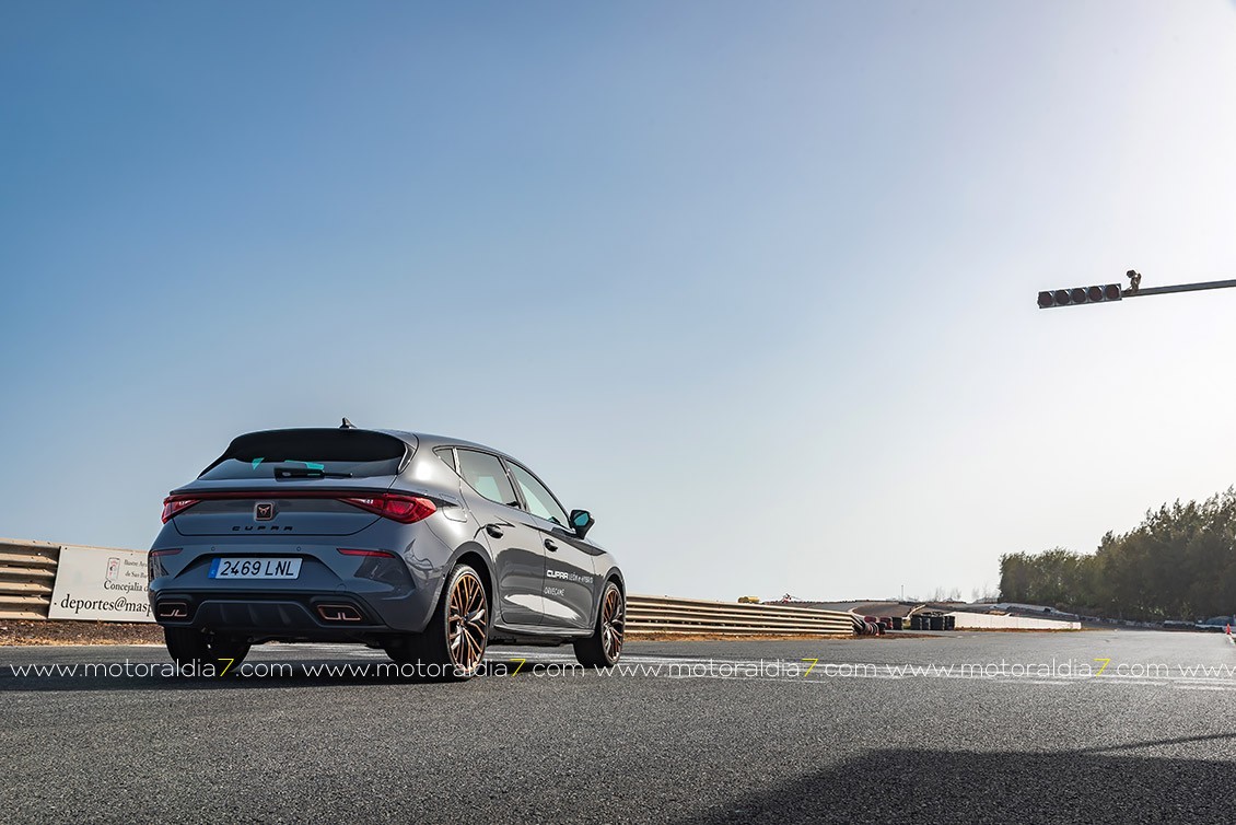 Hibridación para el CUPRA León